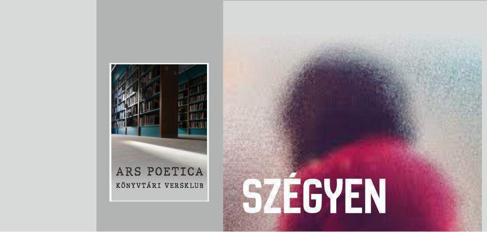 Ars poetica könyvtári versklub