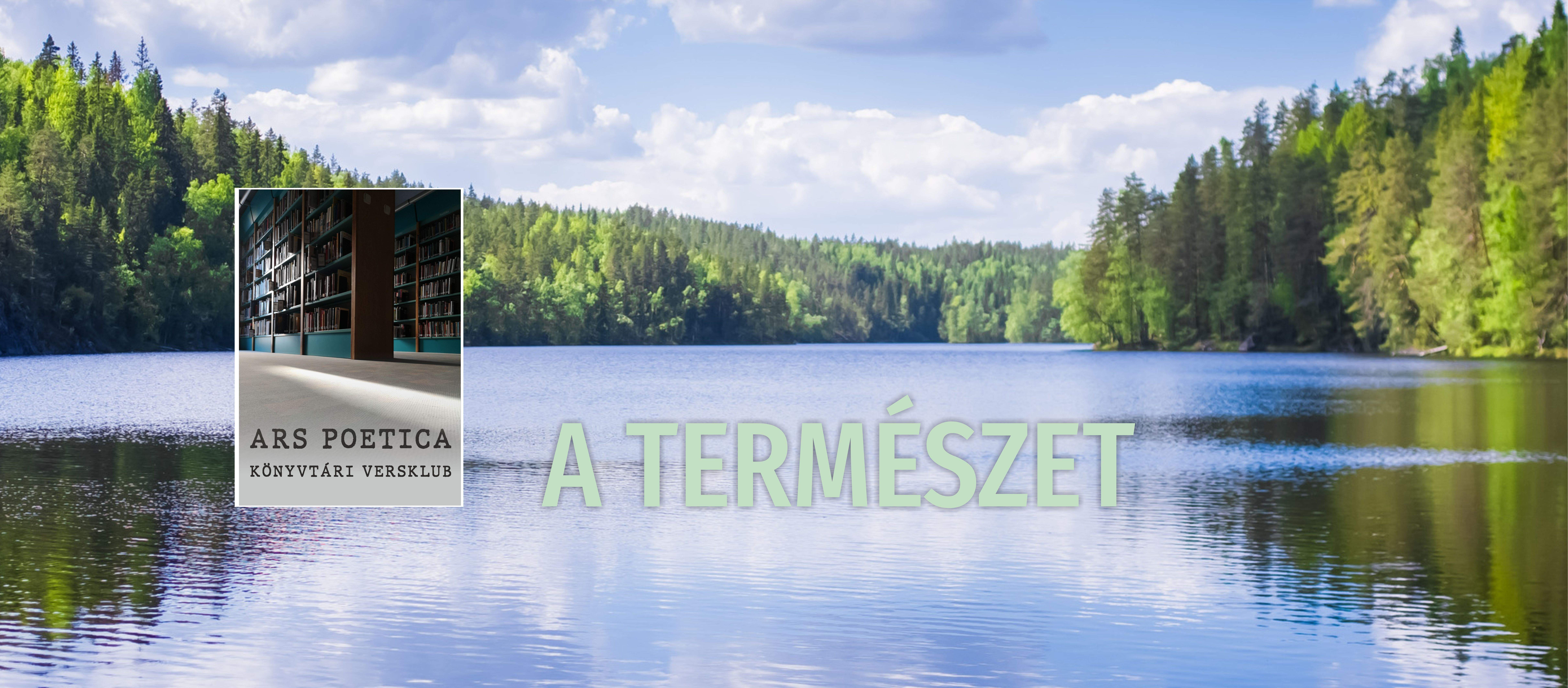 Ars poetica könyvtári versklub