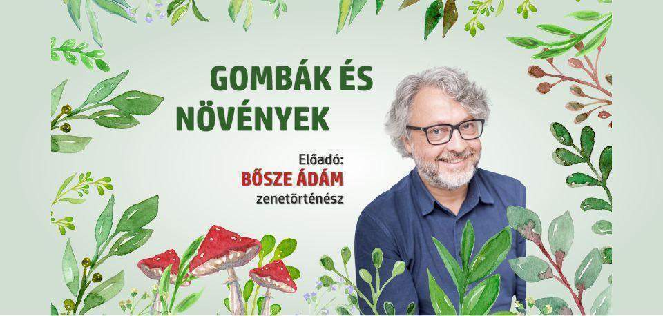 Bősze Ádám: Gombák és növények