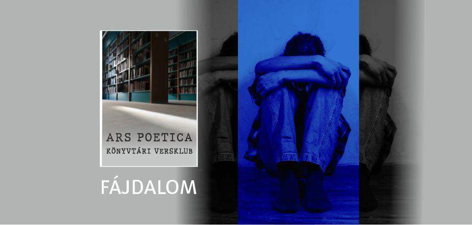 Ars poetica könyvtári versklub