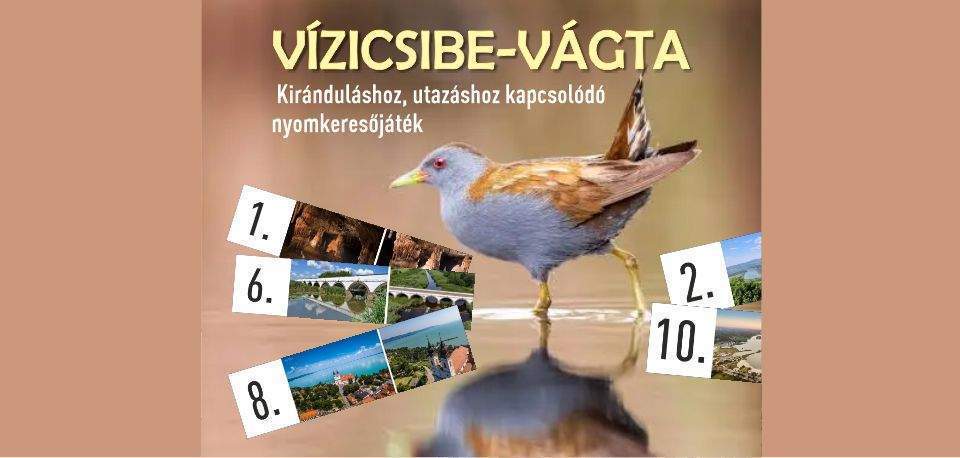 Vízicsibe-vágta